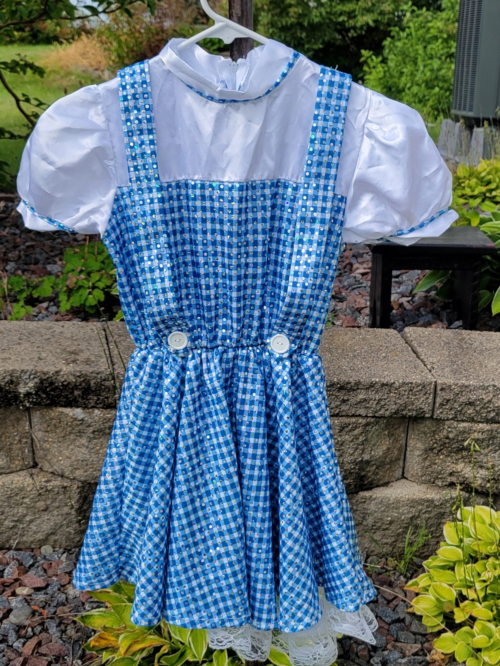 Dorothy Gingham Costume Dress - Basket, Toto & Red Sparkle Shoes 6-7yrs - Picture 3 of 5